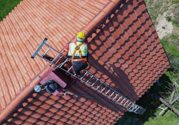 Best Roof Coating and Sealing  in Nescopeck, PA