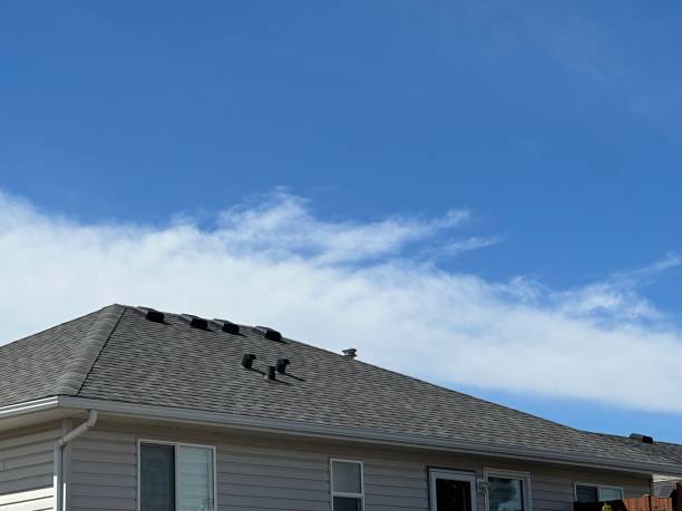 Best Rubber Roofing (EPDM, TPO)  in Nescopeck, PA